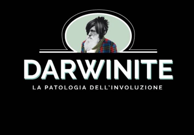 Darwinite night 2017