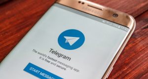canale Telegram Comune Prato