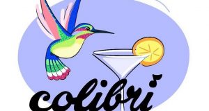 il colibrì